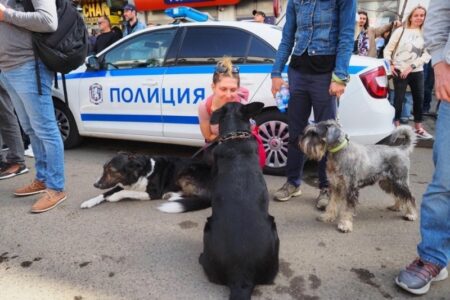 От Перник: Клип с насилие над животни от 50 до 700 евро